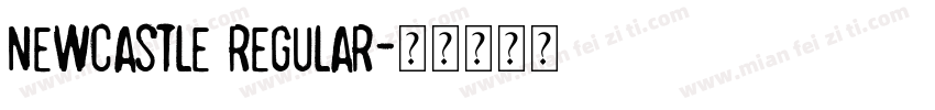 Newcastle Regular字体转换